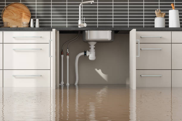 Reliable Litchfield, MI Water damage restoration Solutions